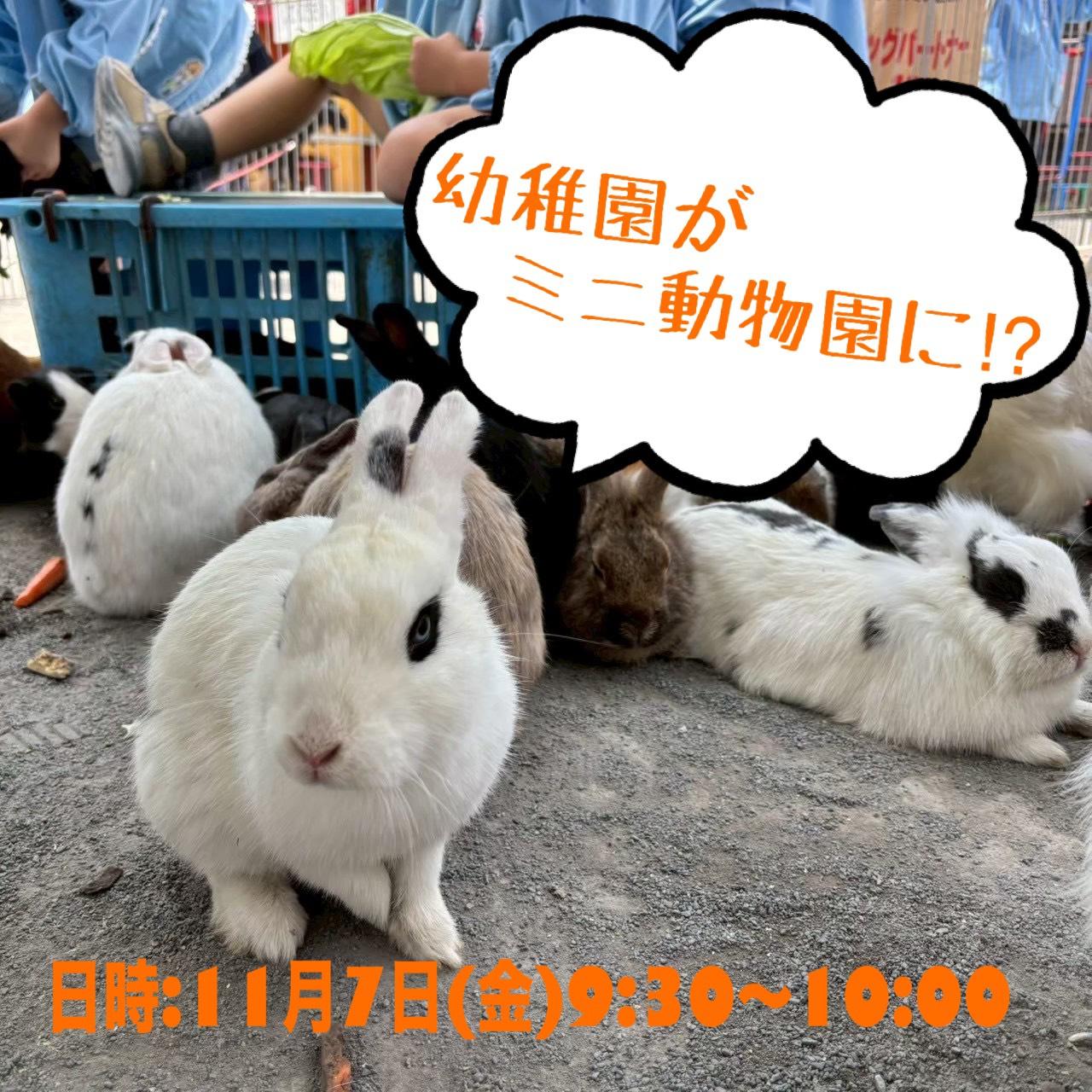 動物さん達がやってきます♪